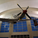 Full Scale P-51D Mustang